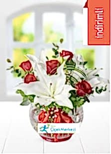 FANUSTA GÜL - LİLYUM