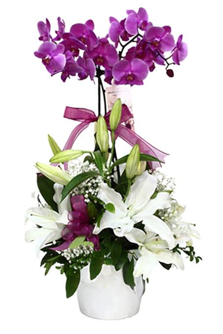 ASALETİN GURURU bursa çiçek