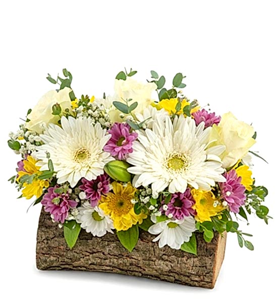 PAPATYA BEYAZ GÜL BURSA ÇİÇEK