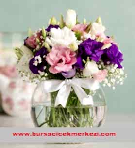 AŞKIN MEVSİMİ LİSYANTUS