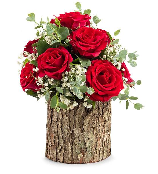  KÜTÜKTE 7 GÜL BURSA CİCEK