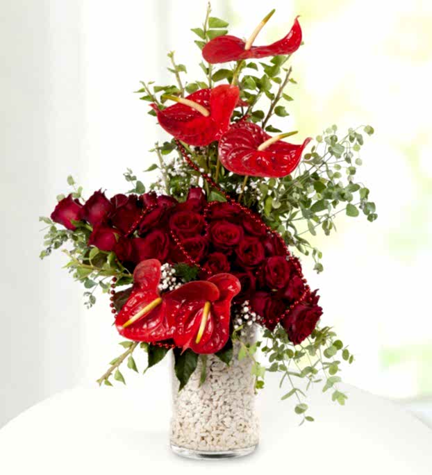 ADI AŞK KIRMIZI GÜL - ANTORYUMLAR