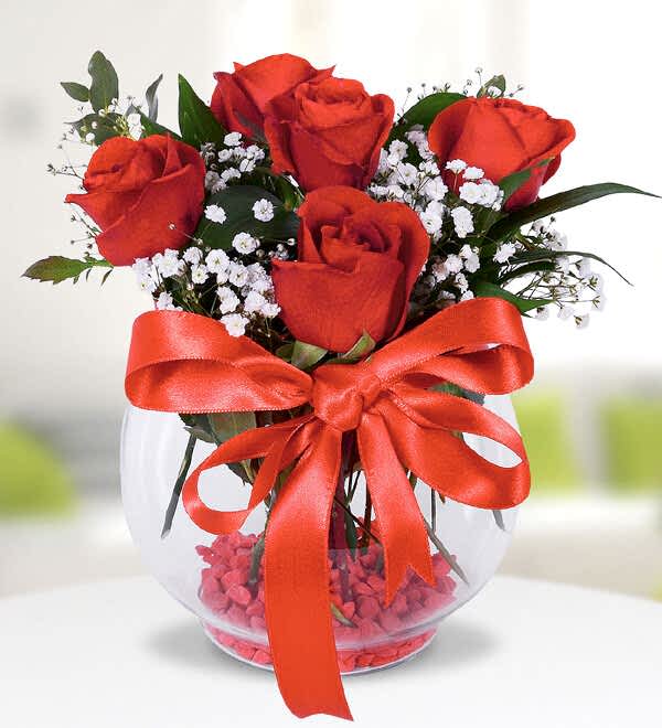 Akvaryumda Kırmızı Güller