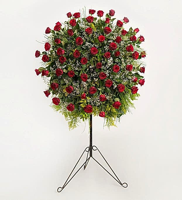 AŞKIN RENGİ FERFOJE