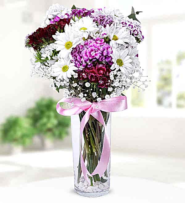 Beyaz Papatya Hüsnüyusuflar