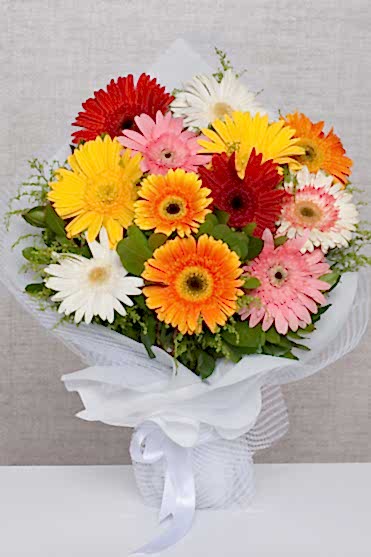 GÖKKUŞAĞI GERBERALAR