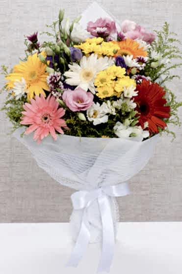 HAYATIMA RENK VERDİN