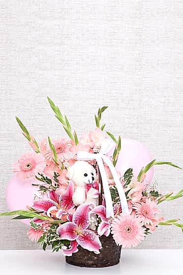 HOŞ GELDİN BEBEK(KIZ)