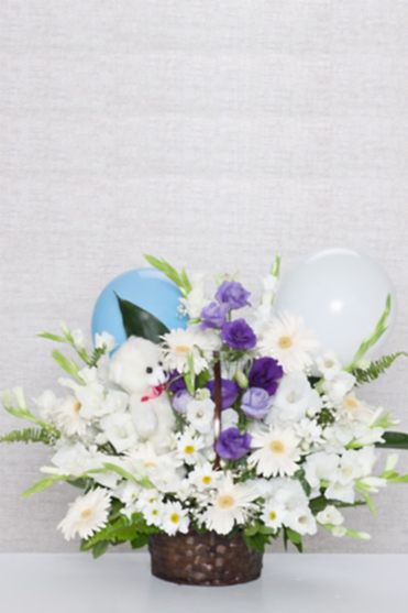 HOŞ GELDİN BEBEK (ERKEK)