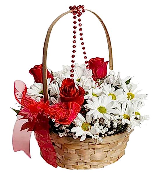 GÜL VE KIR ÇİÇEĞİ