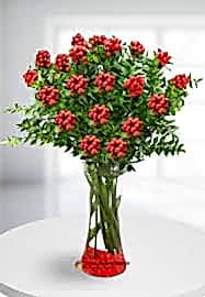 YILBAŞI ÇİÇEĞİ KOKİNA