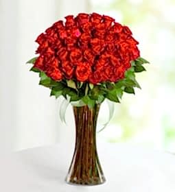 MASAL PERİSİ 40 GÜL