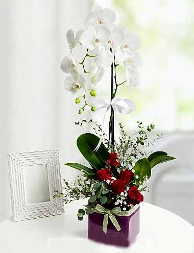 RÜYA GÜZELİ bursa çiçek